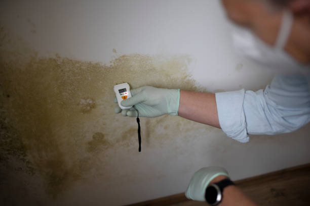 Best Crawl Space Mold Remediation in Franklinton, LA