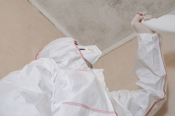 Best Preventive Mold Services in Franklinton, LA